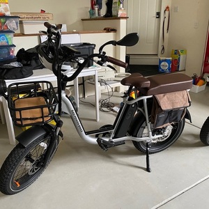 2022 Rad Power Bikes Rad Runner 2 Green