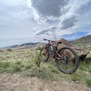 2020 GT Bicycles Elite Black and Red