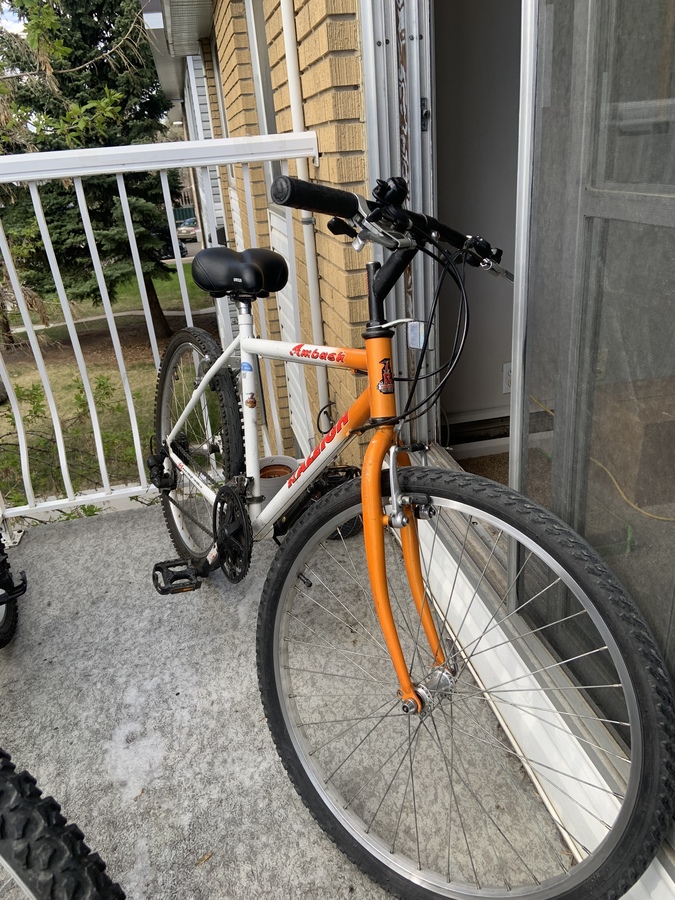 raleigh ambush bike price