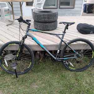 GT Bicycles XL Black
