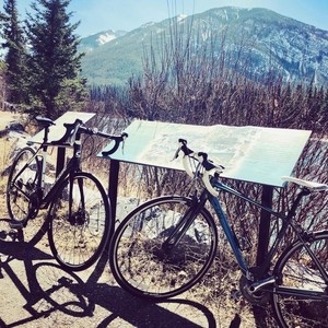 2014 Liv Avail Teal, Blue, and Silver, gray or bare metal