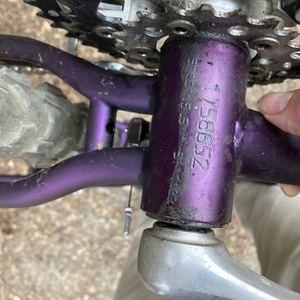 Gary Fisher Aquila Purple