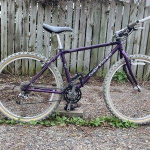 Gary Fisher Aquila Purple