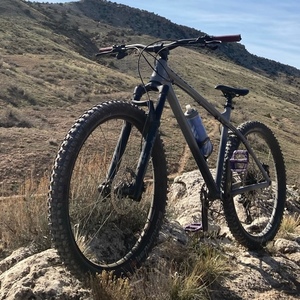 2021 Vitus Sentier VR27 gray Silver, gray or bare metal