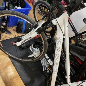 Diamondback White