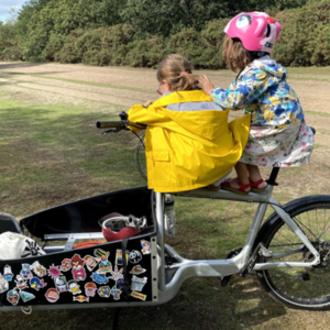 2018 Larry Vs Harry Bullitt - cargo bike Silver, gray or bare metal