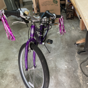 Schwinn Purple