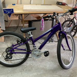 Schwinn Purple