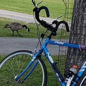 2006 Wal Mart Next Blue