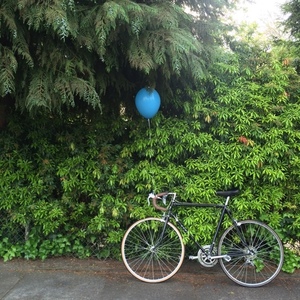 Norco Bikes Black