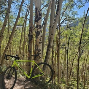 2019 Trek Checkpoint ALR 5 Green