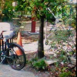 Marin Bikes NAIL TRAIL Black