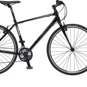 Giant Escape 2 Black and Silver, gray or bare metal