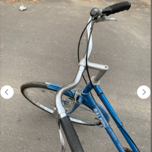 1978 Raleigh Utility Bike / Regular Bike Blue