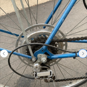 1978 Raleigh Utility Bike / Regular Bike Blue