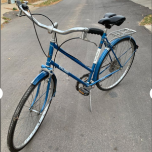 1978 Raleigh Utility Bike / Regular Bike Blue