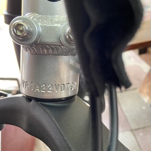 2022 Rad Power Bikes runner plus Silver, gray or bare metal