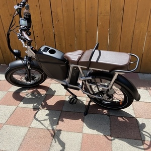 2022 Rad Power Bikes runner plus Silver, gray or bare metal