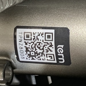 2020 Tern Vektron S10 Silver, gray or bare metal