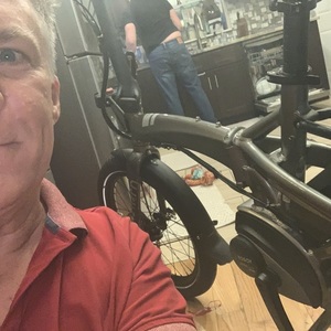 2020 Tern Vektron S10 Silver, gray or bare metal