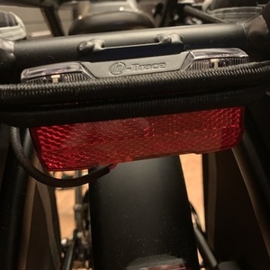 2020 Tern Vektron S10 Silver, gray or bare metal