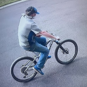 2018 Trek Fuel EX 8 Silver, gray or bare metal