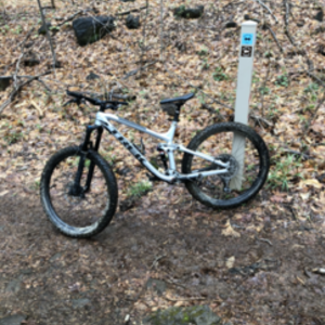 2018 Trek Fuel EX 8 Silver, gray or bare metal