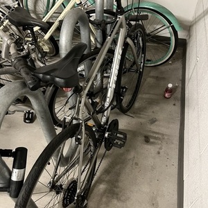 2015 Trek FX series 7.0 Silver, gray or bare metal
