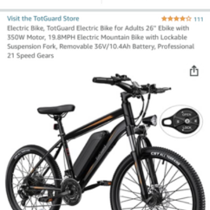 2022 TotGuard Electric Bike Black and Orange