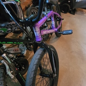 We The People WTP NOVA Purple