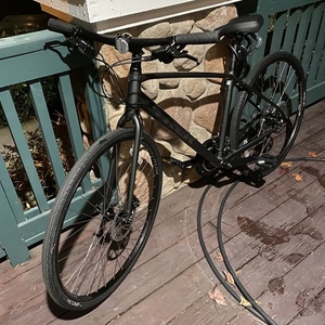 Trek FX+ Silver, gray or bare metal