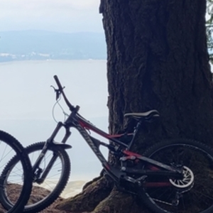 2017 Devinci Spartan Black, Red, and Silver, gray or bare metal