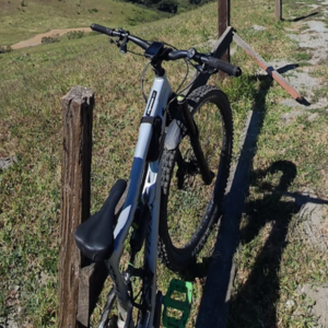2021 Ibis Ripmo AF Silver, gray or bare metal