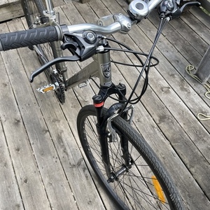 Infinity Cycle Works Plateau Silver, gray or bare metal