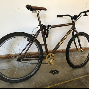 2000 Bianchi Brown