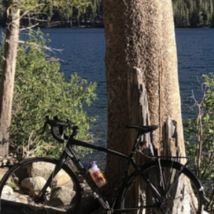 2015 Cannondale Synapse Black