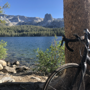 2015 Cannondale Synapse Black