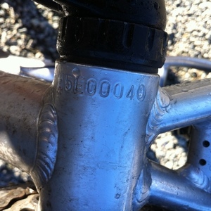 2006 Brodie Kinetic Silver, gray or bare metal