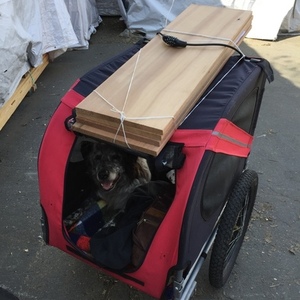 2006 Brodie Kinetic Silver, gray or bare metal