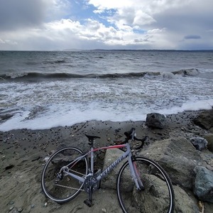 Specialized Dolce Pink, Black, and Silver, gray or bare metal