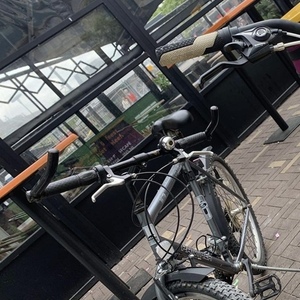 Panther Mountain bike Silver, gray or bare metal