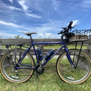 1994 Specialized Rockhopper Blue
