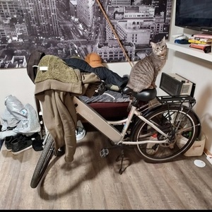 GenZe E102 Silver, gray or bare metal