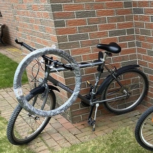 Panther Mountain bike Silver, gray or bare metal