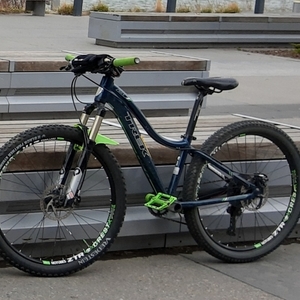 2014 Trek Skye SL Blue and Green