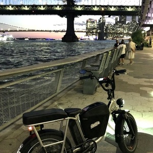 2021 Rad Power Bikes RADRUNNER PLUS Silver, gray or bare metal