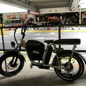 2021 Rad Power Bikes RADRUNNER PLUS Silver, gray or bare metal