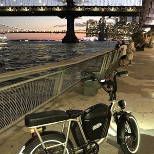 2021 Rad Power Bikes RADRUNNER PLUS Silver, gray or bare metal