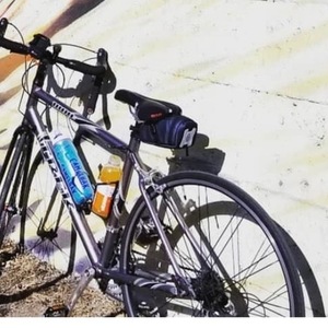 Trek 1800C Silver, gray or bare metal