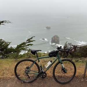 2019 Jamis Renegade Expat Green